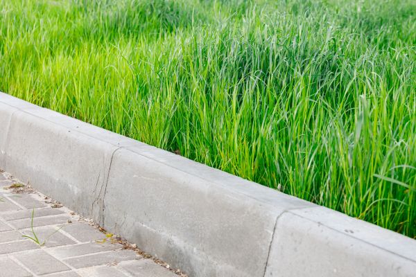 Concrete Curb Repair in Naperville