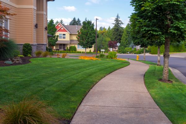 Sidewalk Patching Service